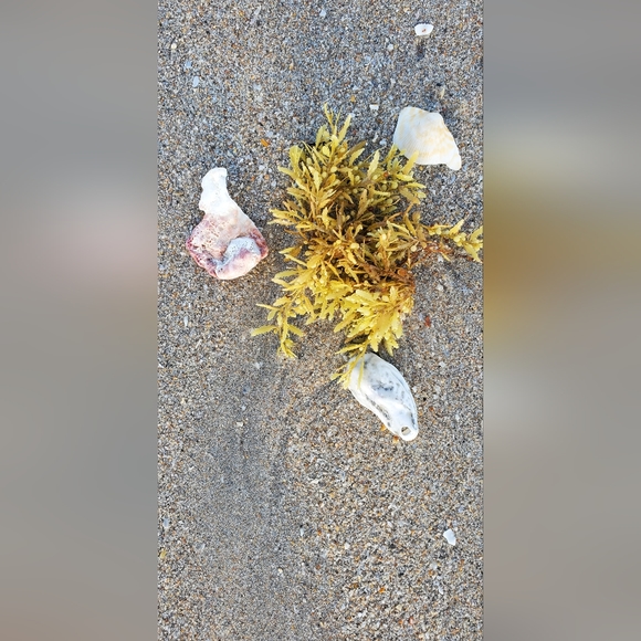 Meet your Posher, Alexandra - Picture 2 of 3